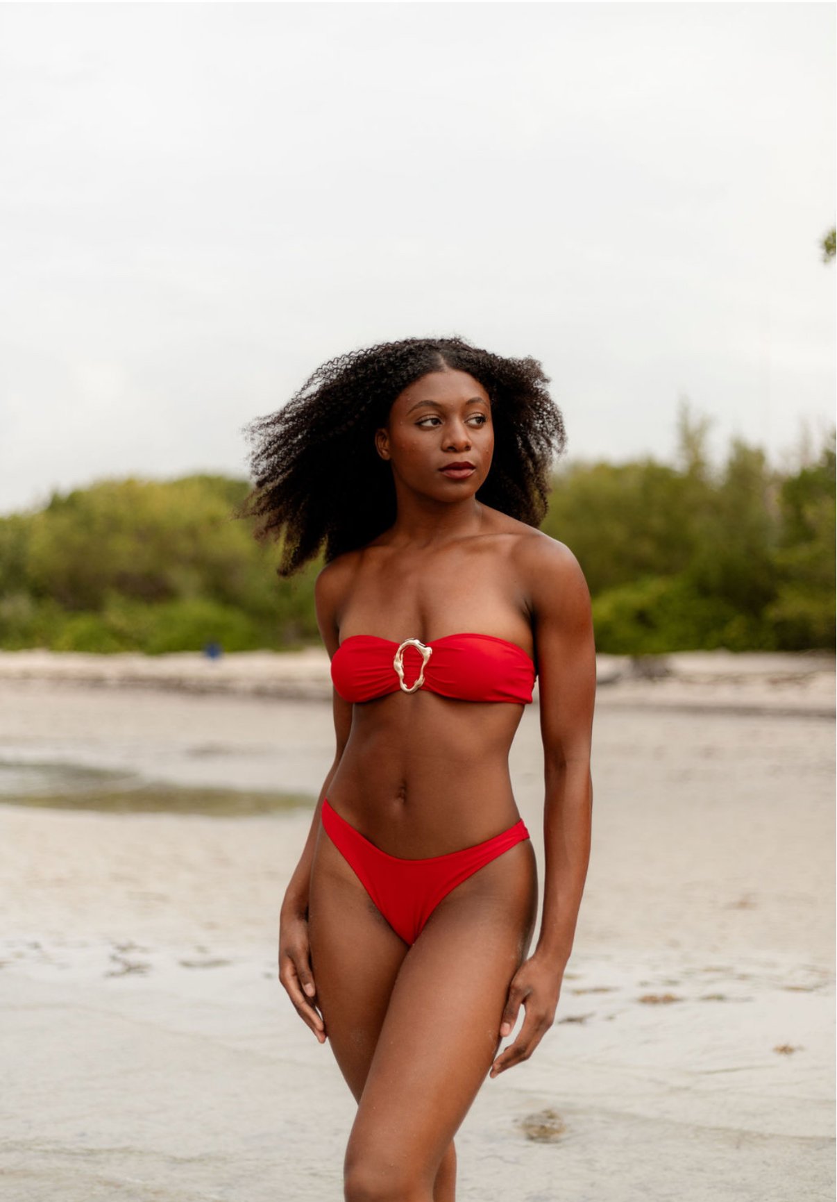 Jerilyn Davis headshot